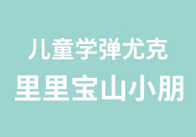 儿童学弹尤克里里宝山小朋友学吉它