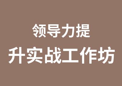 领导力提升实战工作坊