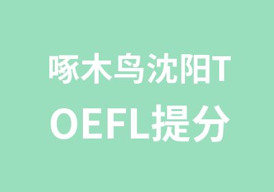 啄木鸟沈阳TOEFL班4人定