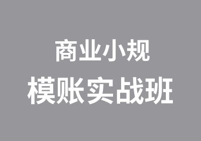 商业小规模账实战班