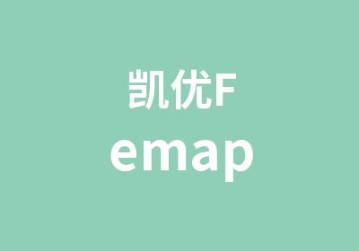 凯优Femap