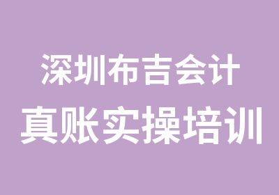 深圳布吉会计真账实操培训机构