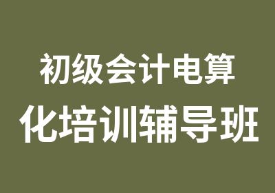 初级会计电算化培训辅导班