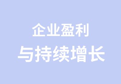 企业盈利与持续增长