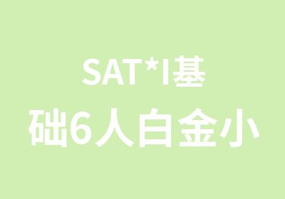 SAT*I基础6人白金小班（面授+网课）
