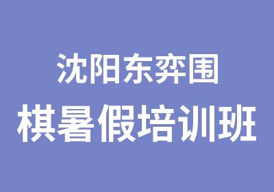 沈阳东弈围棋暑假培训班