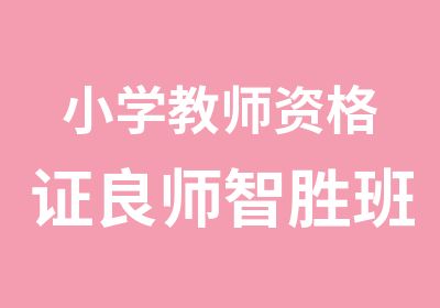 小学教师资格证良师智胜班通关协议版