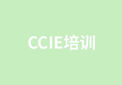 CCIE培训