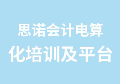 思诺会计电算化培训及平台练习