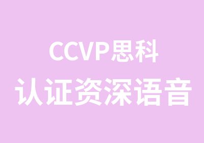 CCVP思科认证语音工程师