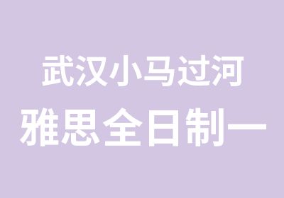 武汉小马过河雅思基础级辅导班