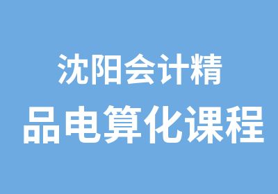 沈阳会计精品电算化课程