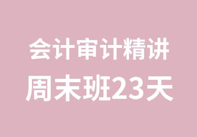 会计审计精讲周末班23天