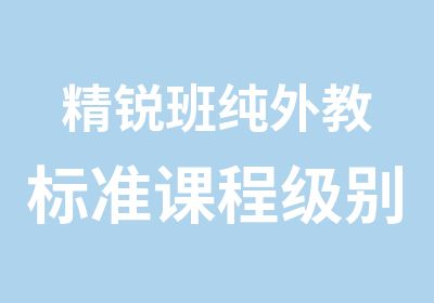 精锐班纯外教标准课程定价