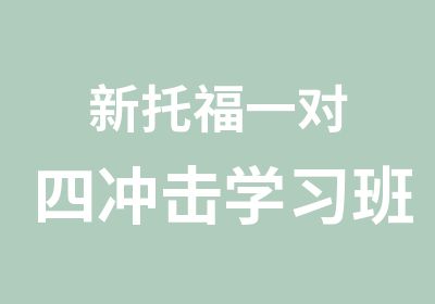 新托福一对四冲击学习班