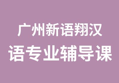 广州新语翔汉语专业辅导课