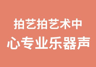 拍艺拍艺术中心专业乐器声乐歌唱培训