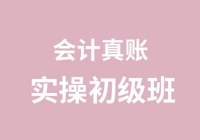 会计真账实操初级班