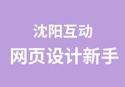 沈阳互动网页设计新手