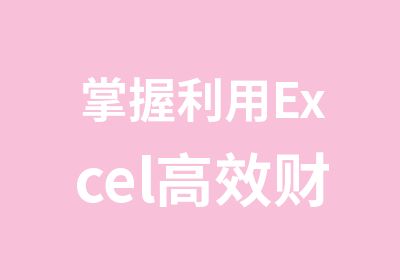 掌握利用Excel财务管理和