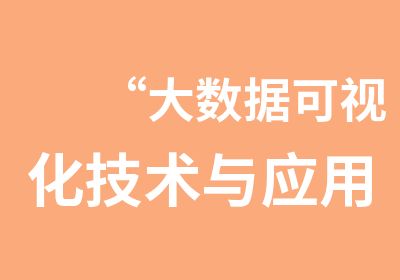 “大数据可视化技术与应用”培训