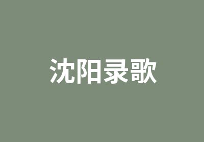 沈阳录歌