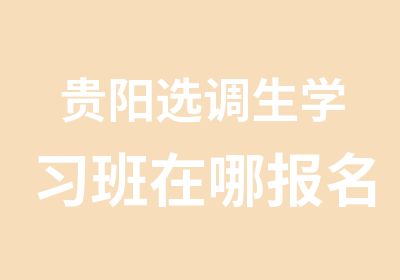 贵阳选调生学习班在哪报名