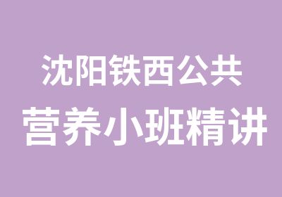 沈阳铁西公共营养小班精讲课