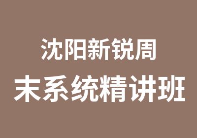 沈阳新锐周末系统精讲班