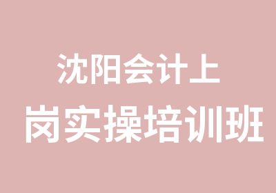 沈阳会计上岗实操培训班