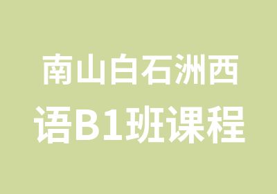 南山白石洲西语B1班课程培训