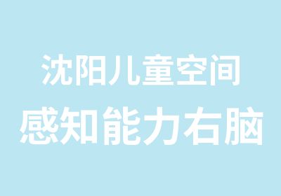 沈阳儿童空间感知能力右脑开发