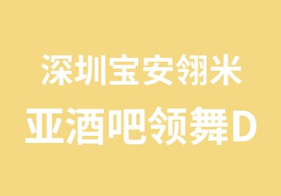 深圳宝安翎米亚酒吧领舞DS教练培训