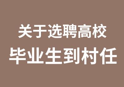 关于选聘高校毕业生到村任职面试冲刺班