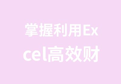 掌握利用Excel财务管理