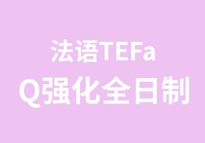 法语TEFaQ强化班辅导