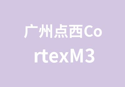 广州点西CortexM3程序设计短期班