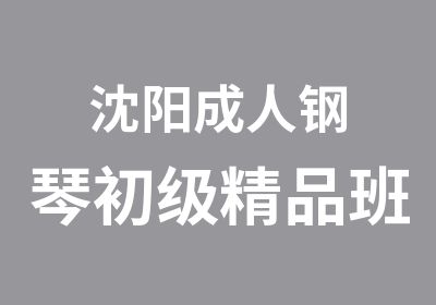 沈阳成人钢琴初级精品班