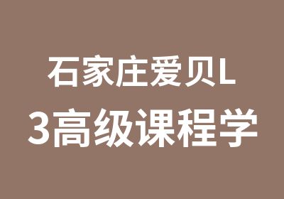 石家庄爱贝L3课程学科英语