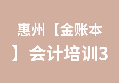 惠州【金账本】会计培训30天学全盘账包学会为止