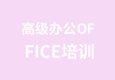 办公OFFICE培训