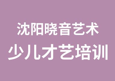 沈阳晓音艺术少儿才艺培训