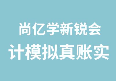 尚亿学新锐会计模拟真账实操班