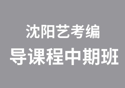 沈阳艺考编导课程中期班