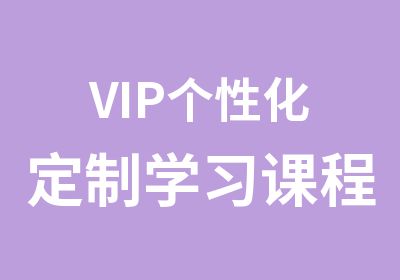 VIP定制学习课程