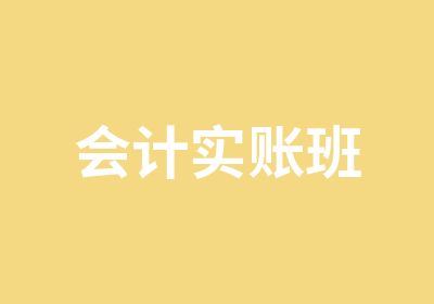 会计实账班