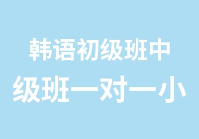 韩语初级班中级班小班