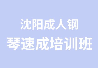 沈阳成人钢琴速成培训班