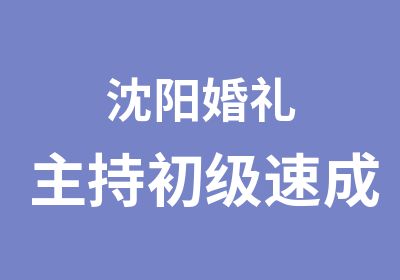 沈阳婚礼主持初级速成