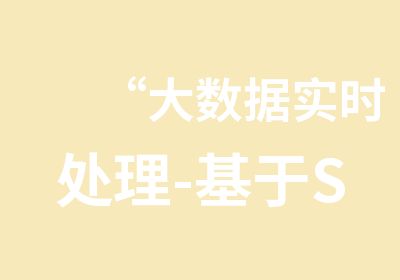 “大数据实时处理-基于Spark的大数据实时处理及应用技术”培训